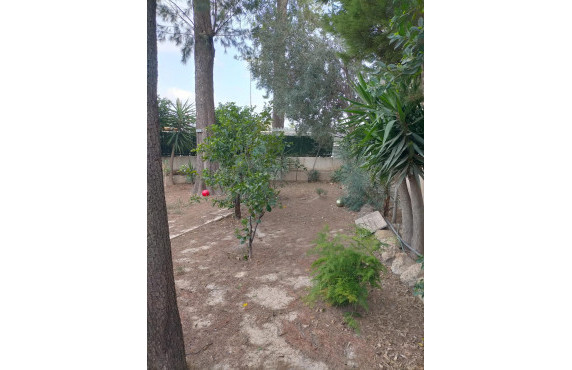 For Sale - villa - Orihuela