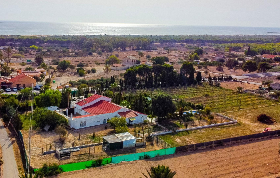 Venta - villa - Elche pedanias - LA MARINA