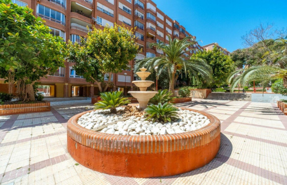 Venta - Piso - Alicante - El palmeral