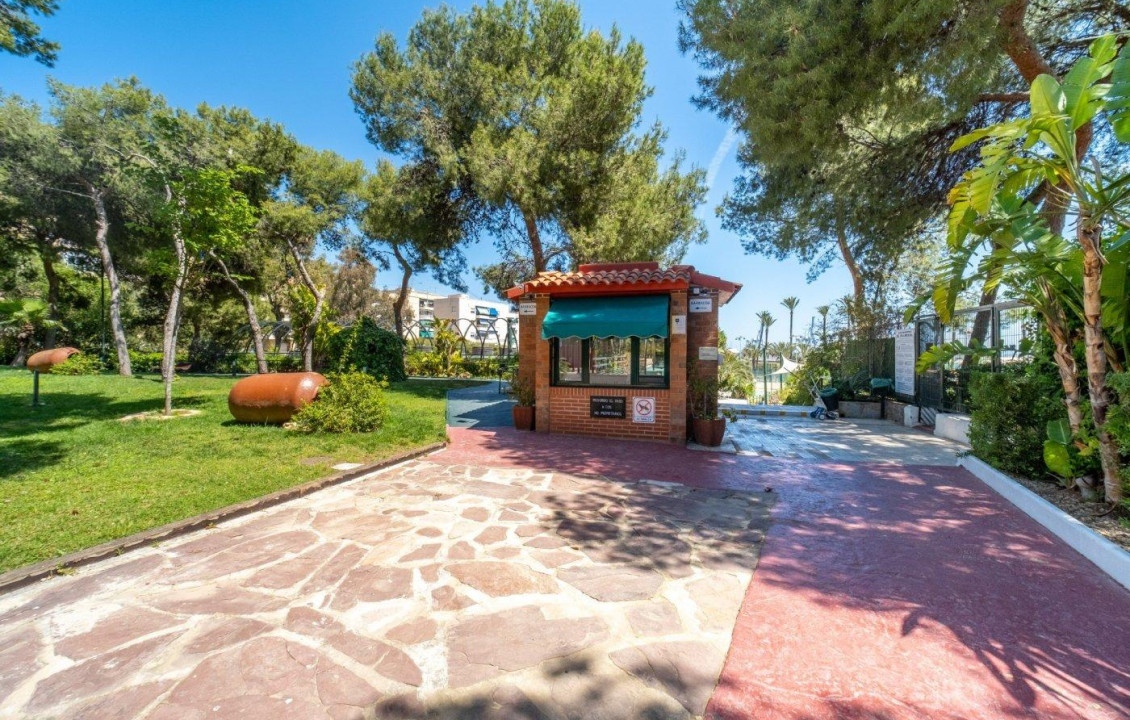 Venta - Piso - Alicante - El palmeral