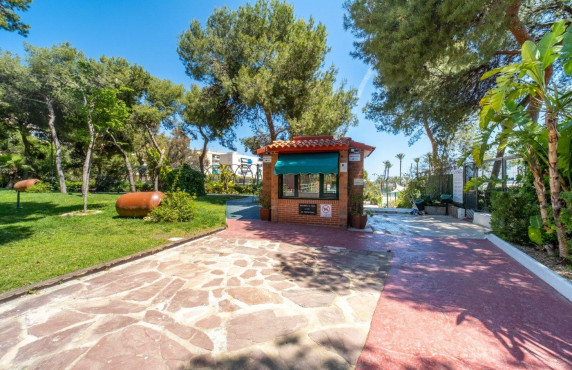 Venta - Piso - Alicante - El palmeral