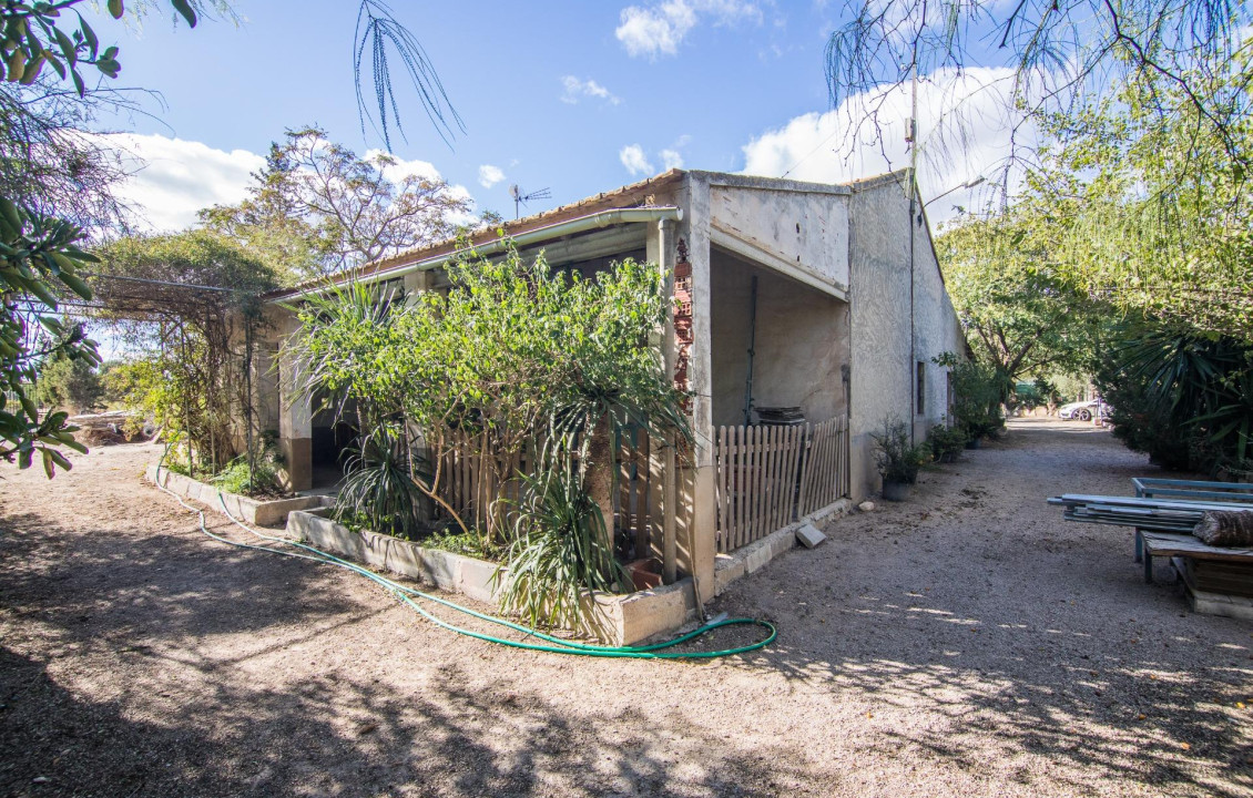 Venta - villa - Crevillent - Crta de Matola