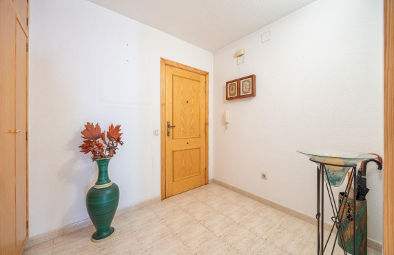 Venta - Apartamento - Benidorm - Centro