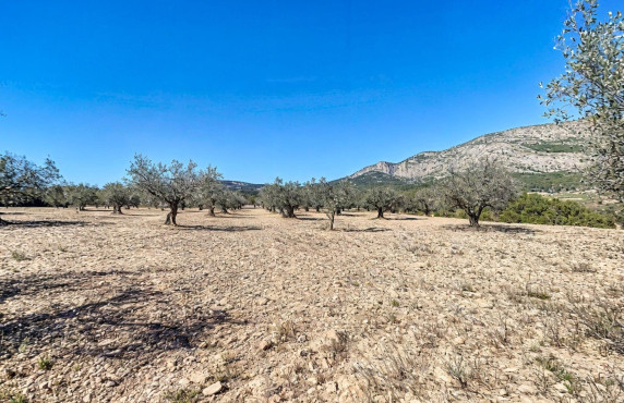 For Sale - Country land - Castalla - Ginets