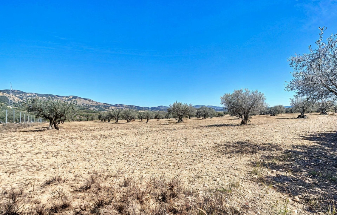 For Sale - Country land - Castalla - Ginets