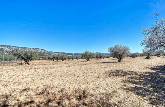 For Sale - Country land - Castalla - Ginets