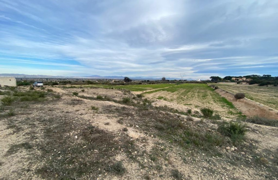 For Sale - Country land - Elche pedanias - LA MARINA