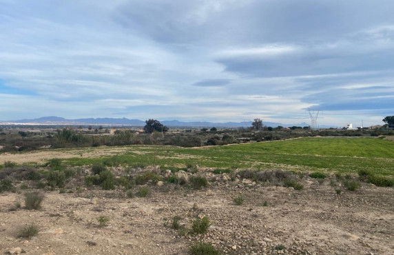 For Sale - Country land - Elche pedanias - LA MARINA