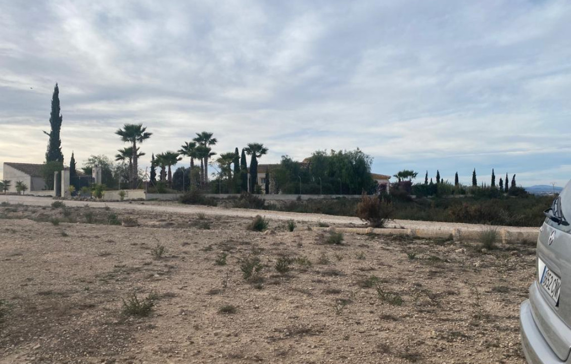 For Sale - Country land - Elche pedanias - LA MARINA