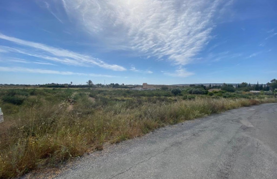 For Sale - Country land - Elche pedanias - LOS BALSARES