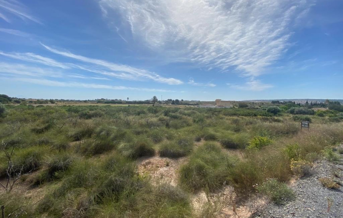 For Sale - Country land - Elche pedanias - LOS BALSARES