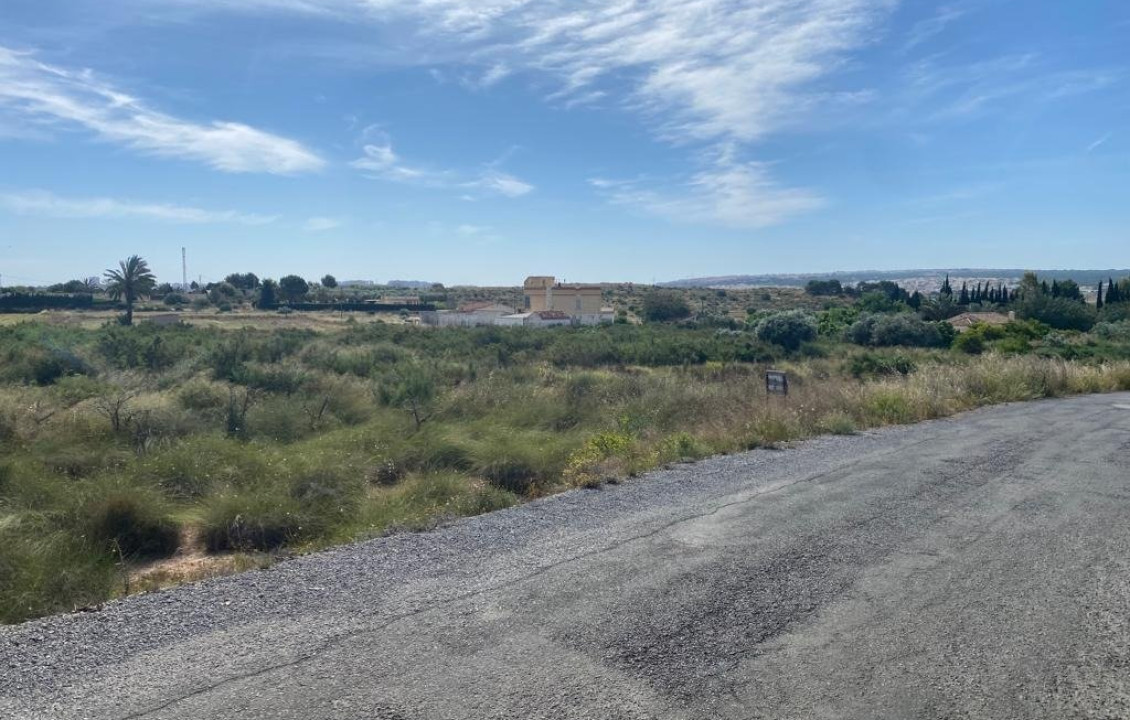 For Sale - Country land - Elche pedanias - LOS BALSARES