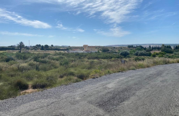 For Sale - Country land - Elche pedanias - LOS BALSARES