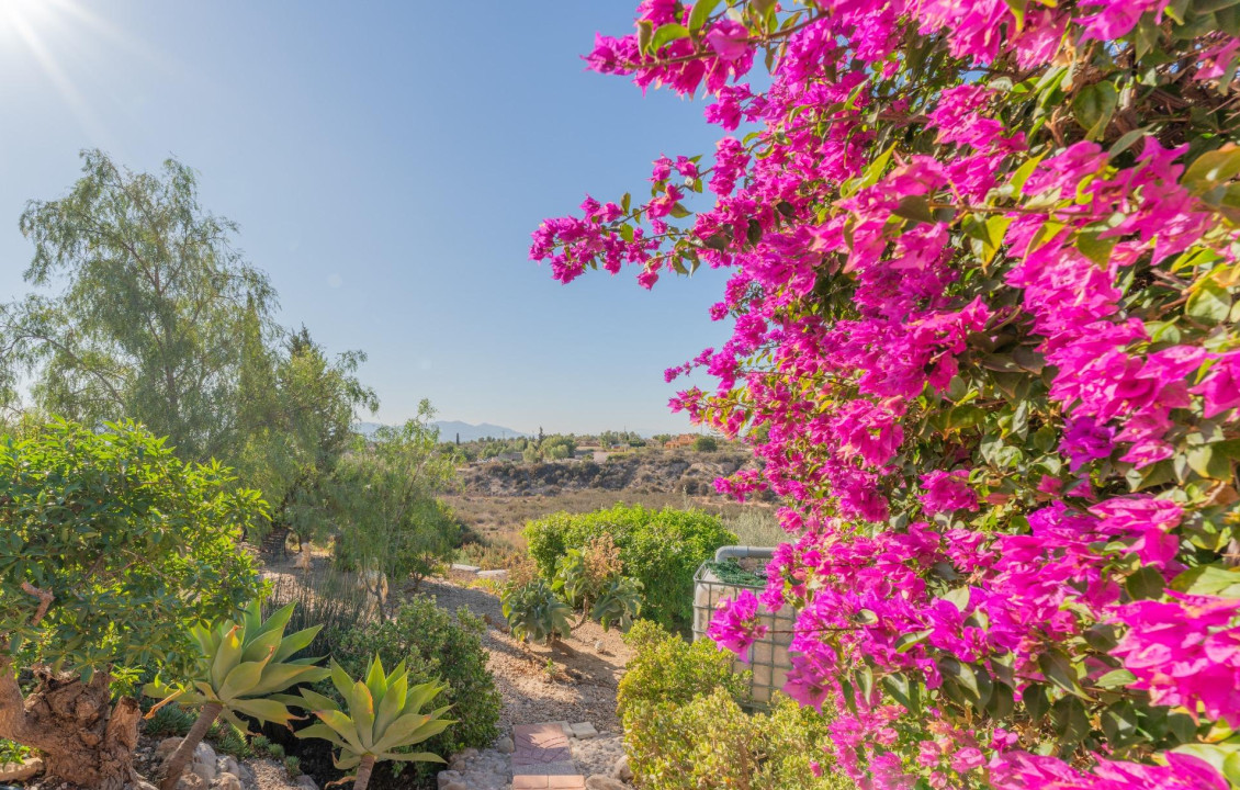 Venta - villa - Albatera - LAS LOMAS