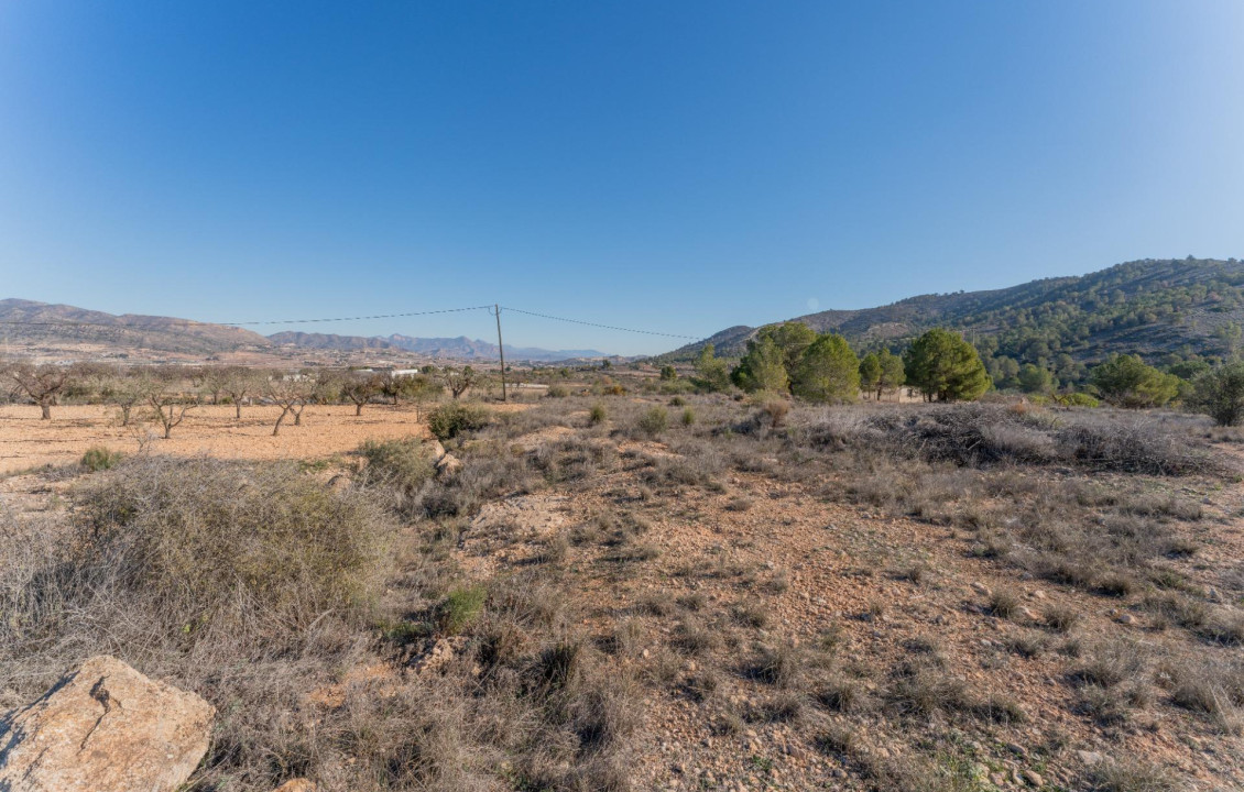 For Sale - Plot - Hondon de las Nieves - Comunidad valenciana