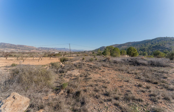 For Sale - Plot - Hondon de las Nieves - Comunidad valenciana