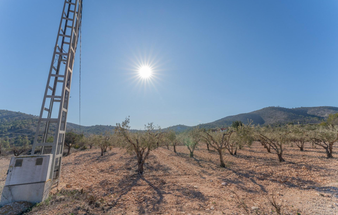 Venta - Plot - Hondon de las Nieves - Comunidad valenciana