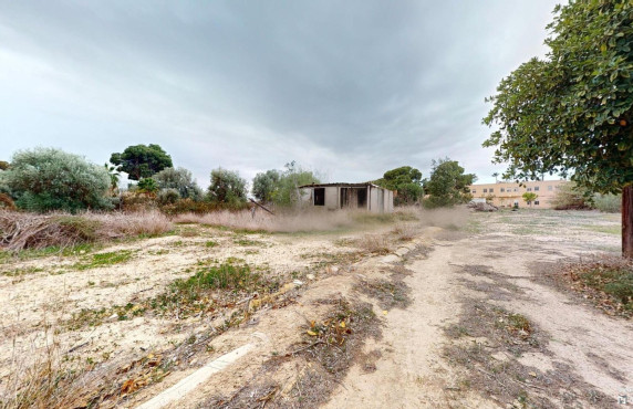 For Sale - Plot - Elche pedanias - Jubalcoy