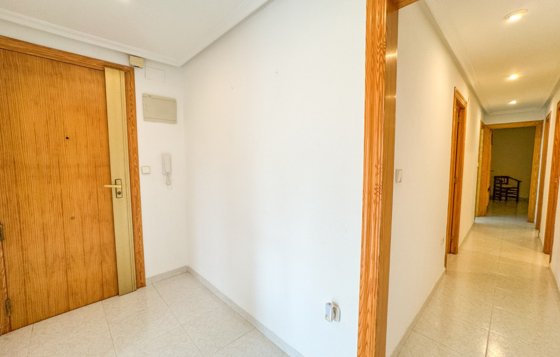 Alquiler Larga Estancia - Piso - Elche