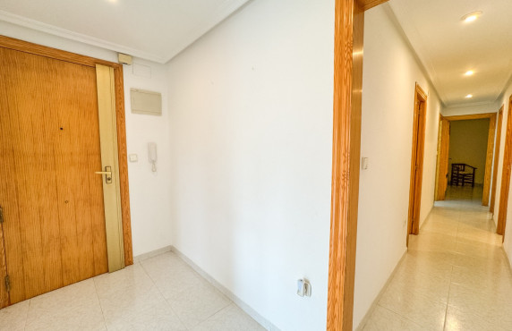 Alquiler Larga Estancia - Piso - Elche