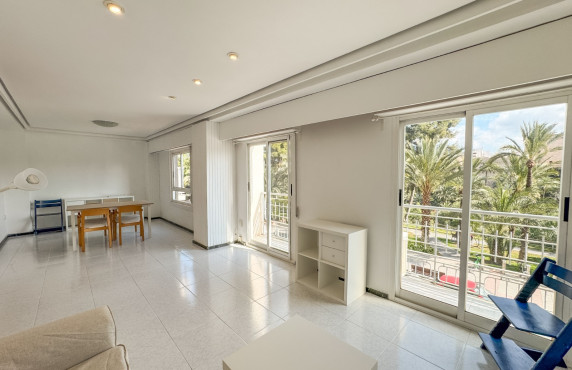 Alquiler Larga Estancia - Piso - Elche