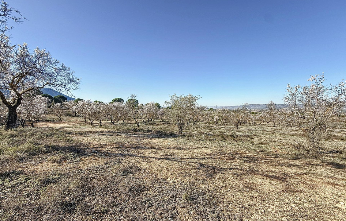 For Sale - Country land - Biar - Comunidad valenciana