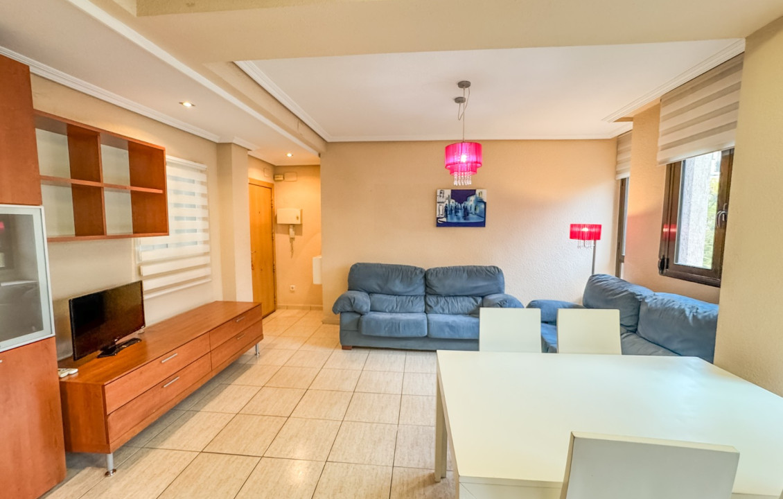 Seasonal Rental - Flat - Elche - Centro