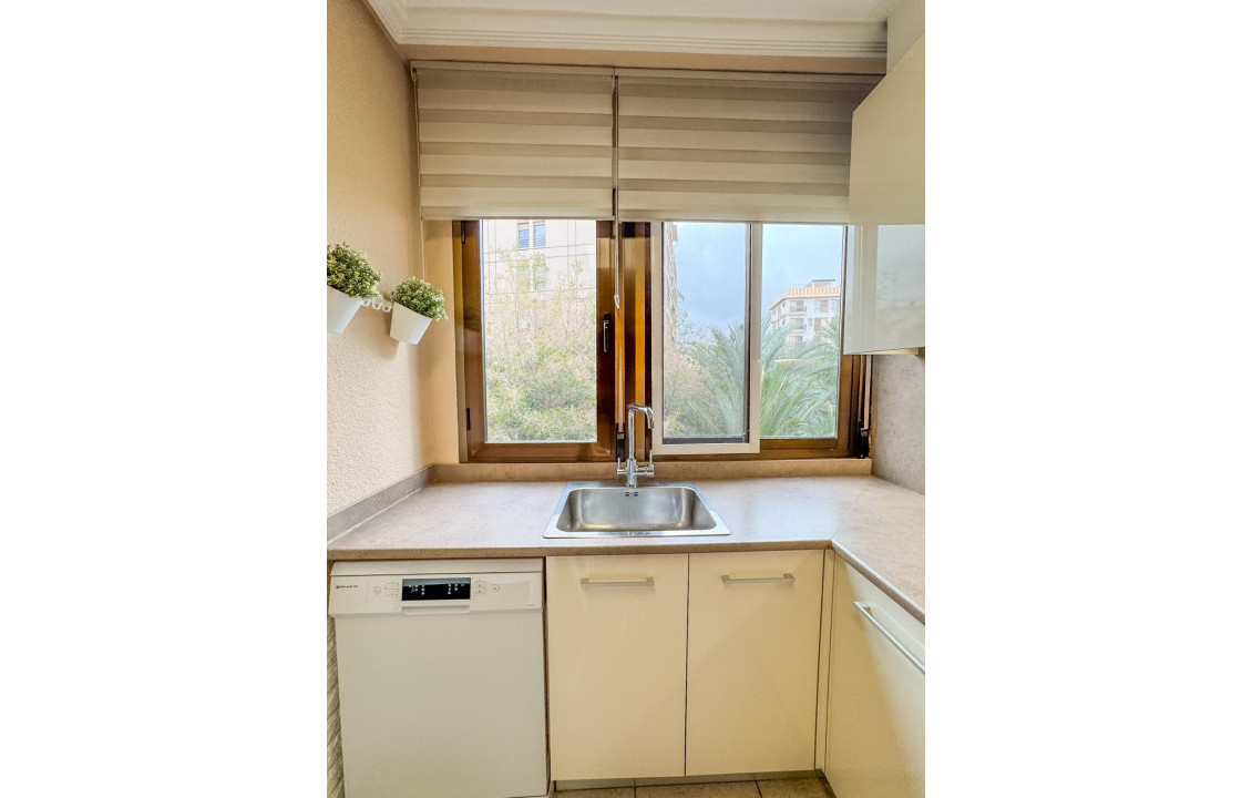 Seasonal Rental - Flat - Elche - Centro