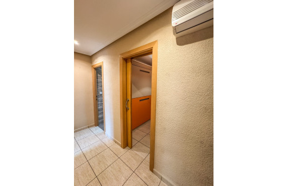 Seasonal Rental - Flat - Elche - Centro