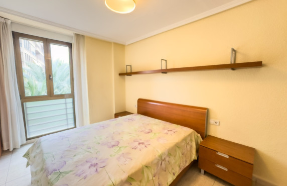 Seasonal Rental - Flat - Elche - Centro