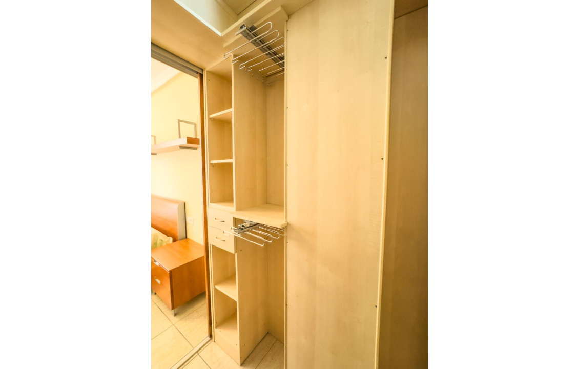 Seasonal Rental - Flat - Elche - Centro