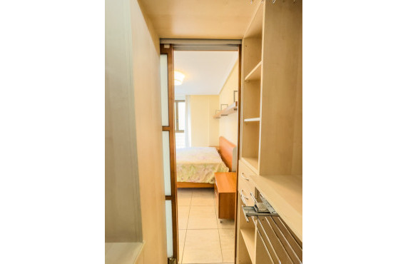 Seasonal Rental - Flat - Elche - Centro