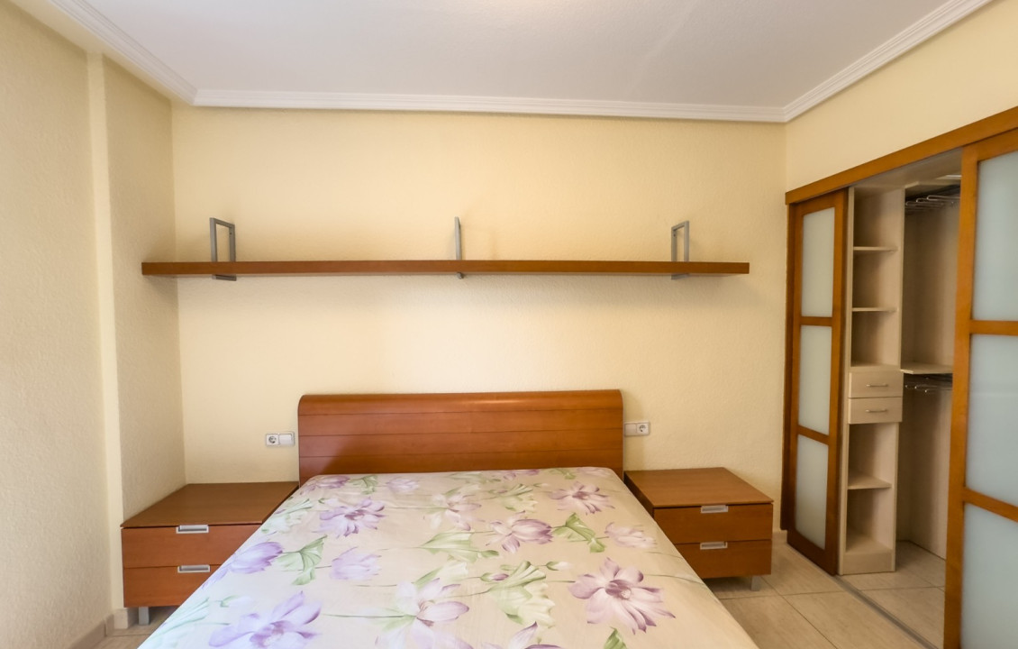 Seasonal Rental - Flat - Elche - Centro