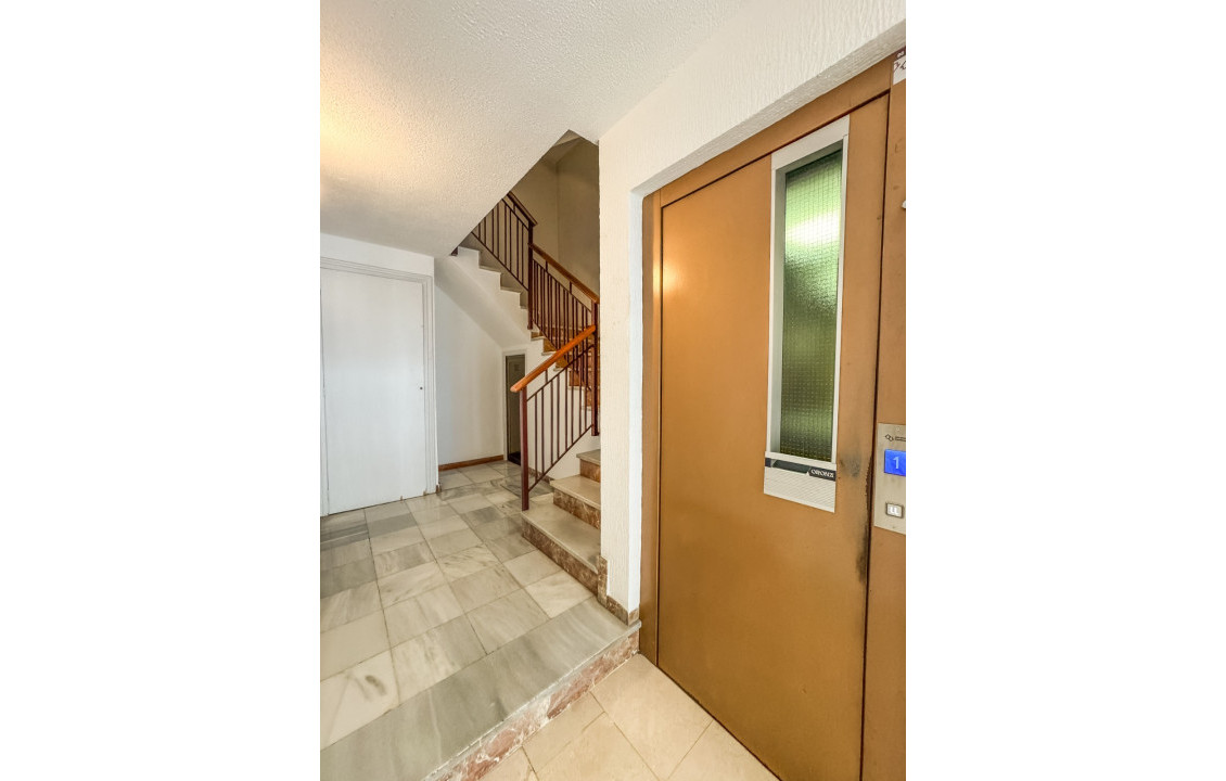 Seasonal Rental - Flat - Elche - Centro