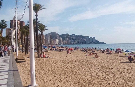 Venta - Piso - Benidorm - Levante