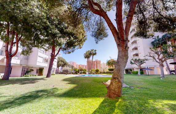 For Sale - Flat - San Juan Alicante