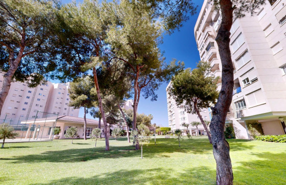 For Sale - Flat - San Juan Alicante