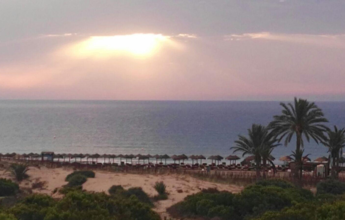 For Sale - Apartment - Arenales del sol - Arenales del Sol