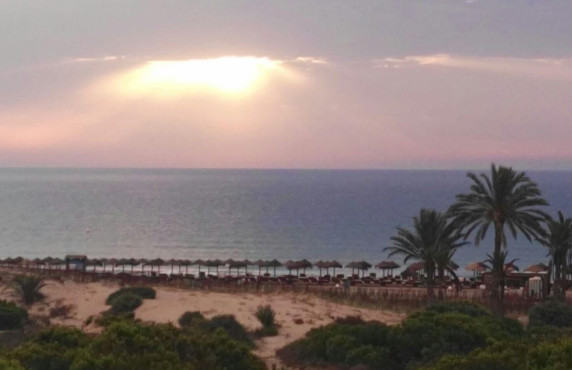 For Sale - Apartment - Arenales del sol - Arenales del Sol