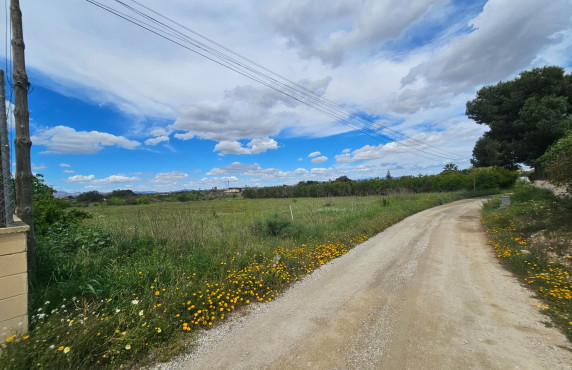 For Sale - urban plot - Valverde (Alicante) - Valverde