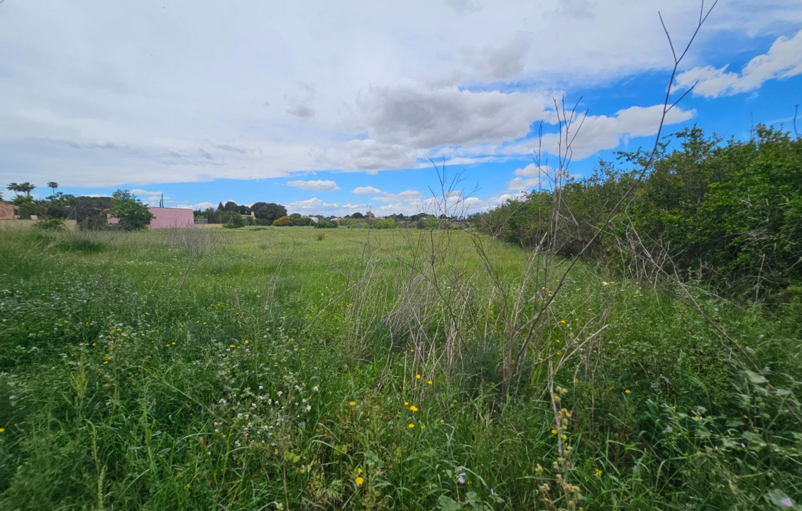 For Sale - urban plot - Valverde (Alicante) - Valverde