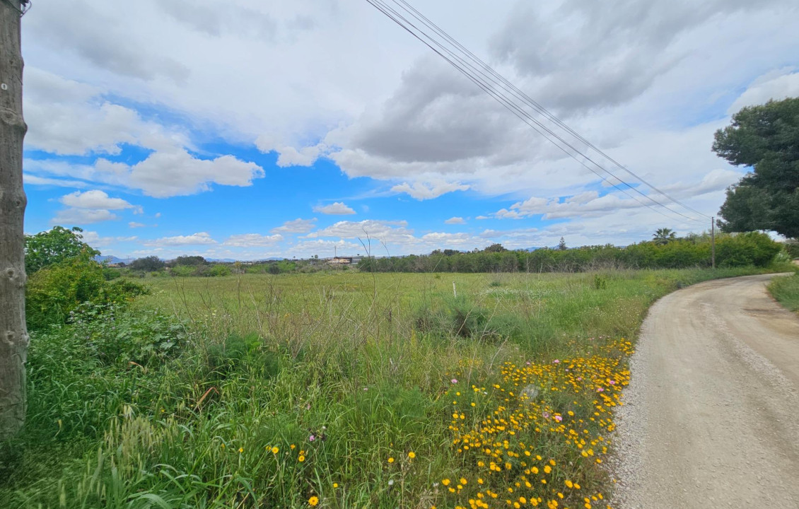 For Sale - urban plot - Valverde (Alicante) - Valverde
