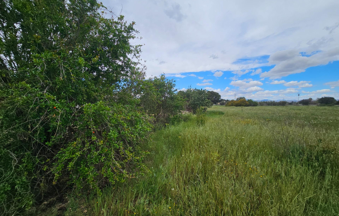 For Sale - urban plot - Valverde (Alicante) - Valverde