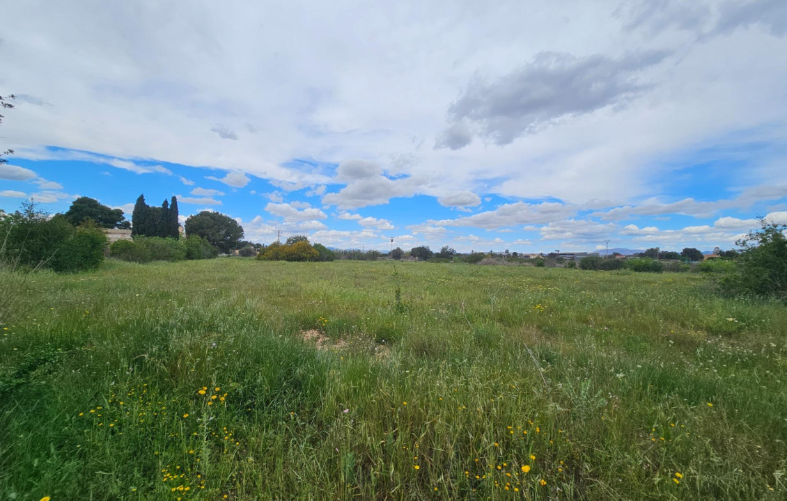 For Sale - urban plot - Valverde (Alicante) - Valverde