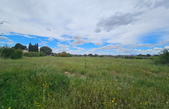For Sale - urban plot - Valverde (Alicante) - Valverde