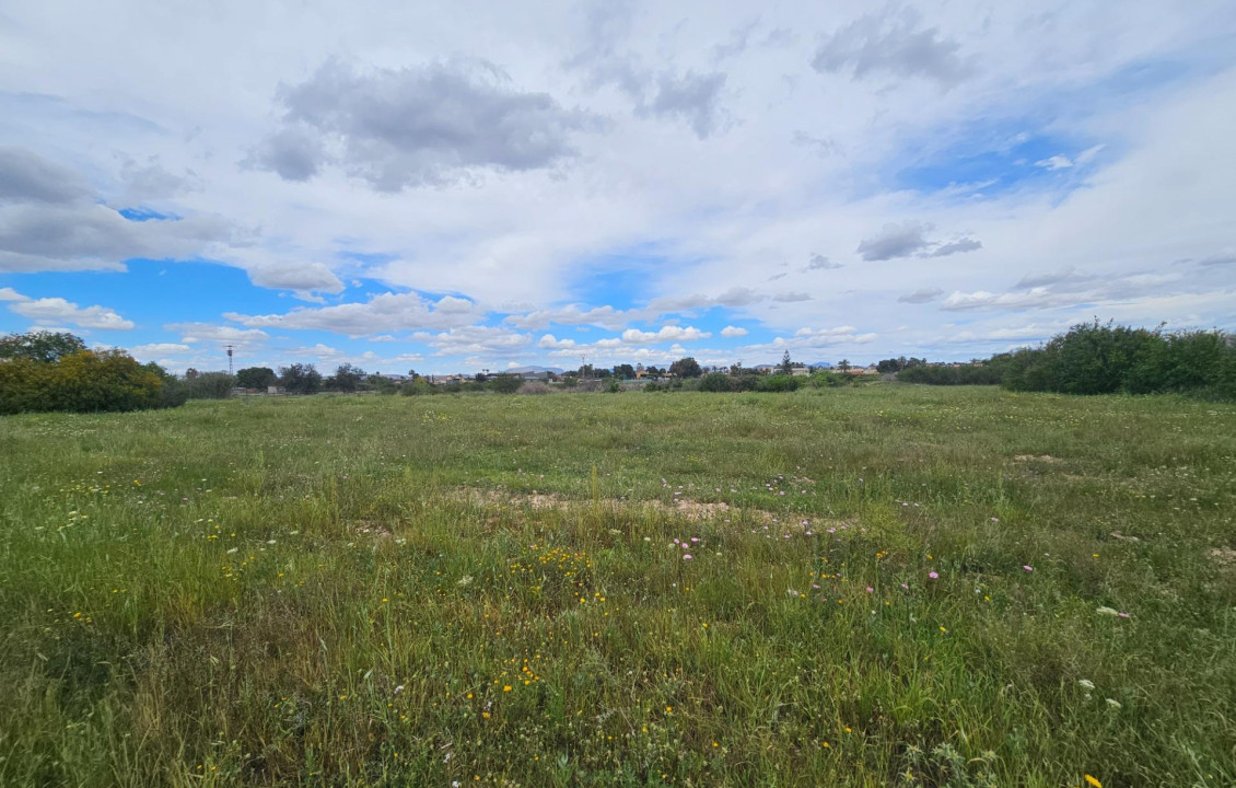 For Sale - urban plot - Valverde (Alicante) - Valverde