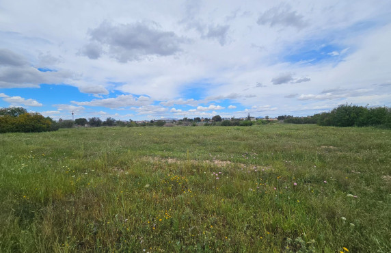 For Sale - urban plot - Valverde (Alicante) - Valverde