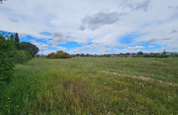 For Sale - urban plot - Valverde (Alicante) - Valverde