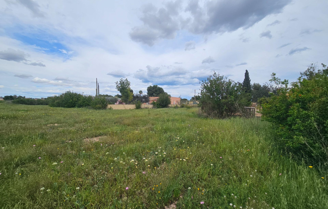 For Sale - urban plot - Valverde (Alicante) - Valverde