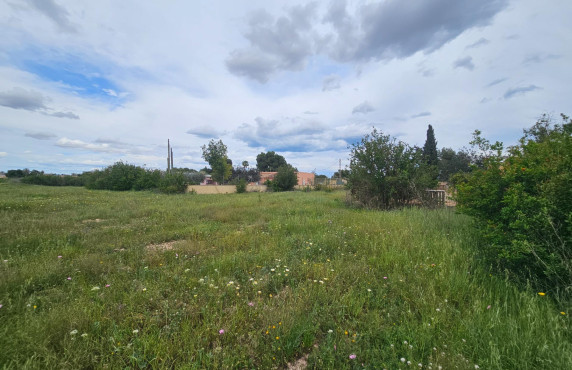 For Sale - urban plot - Valverde (Alicante) - Valverde